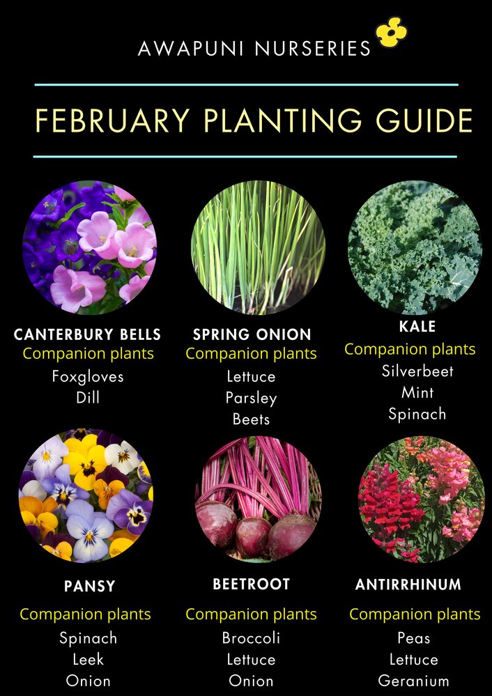 February 